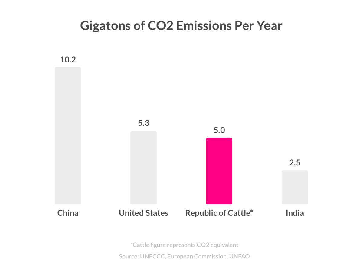 How to Stop Global Warming The 8 Best Solutions