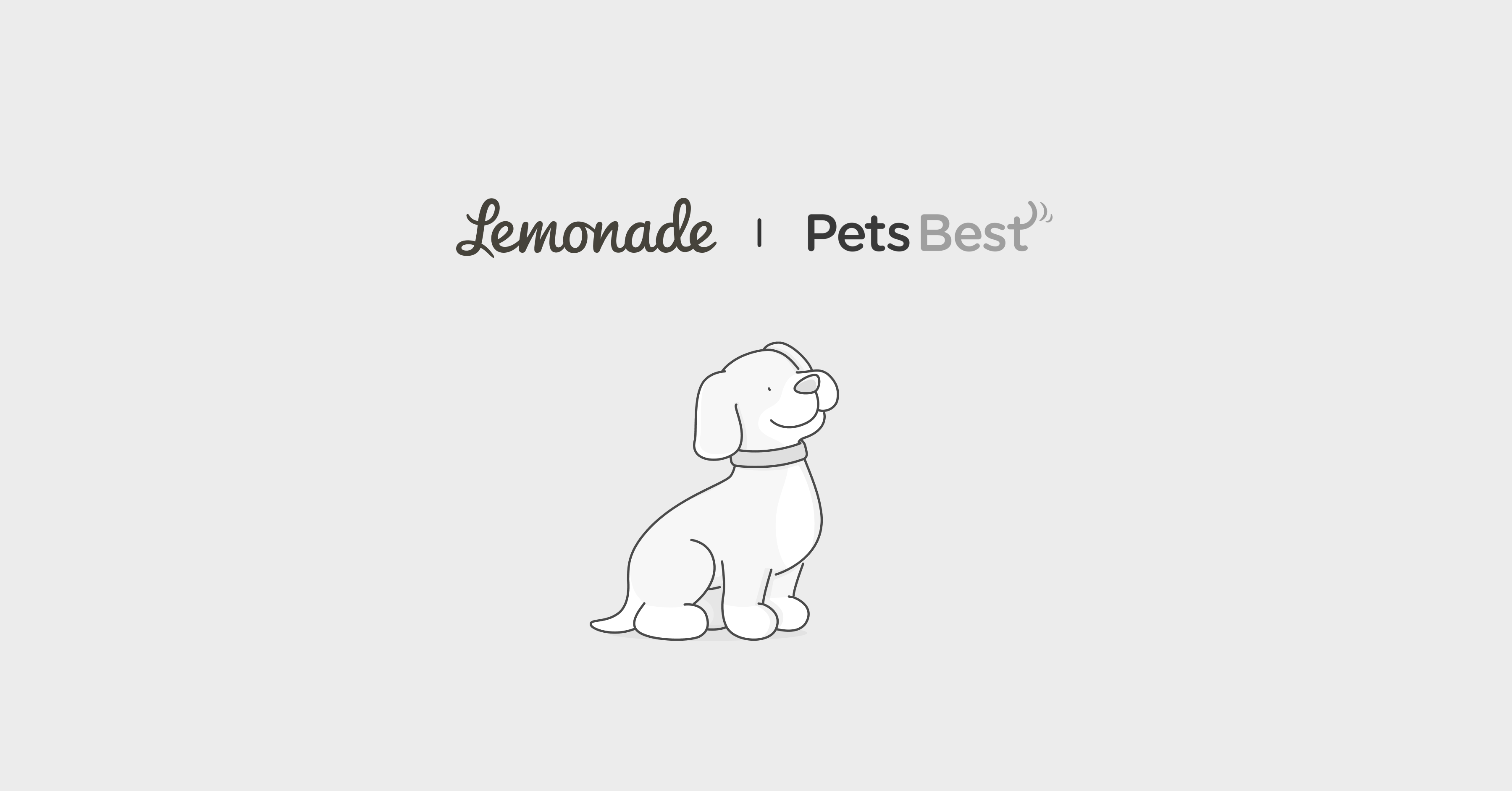 Pets Best Pet Insurance vs. Lemonade Comparison