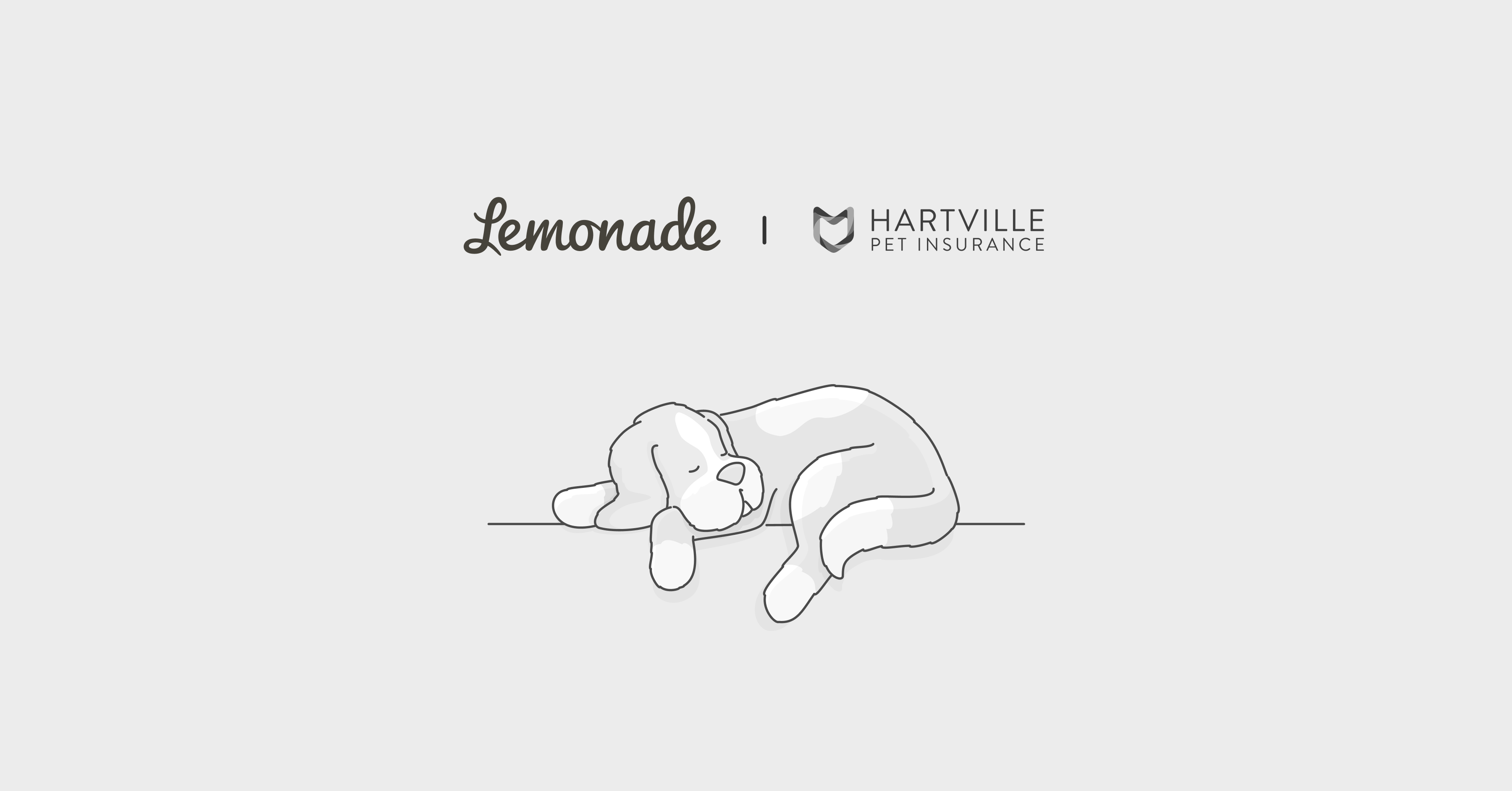 Hartville pet insurance vs Lemonade comparison