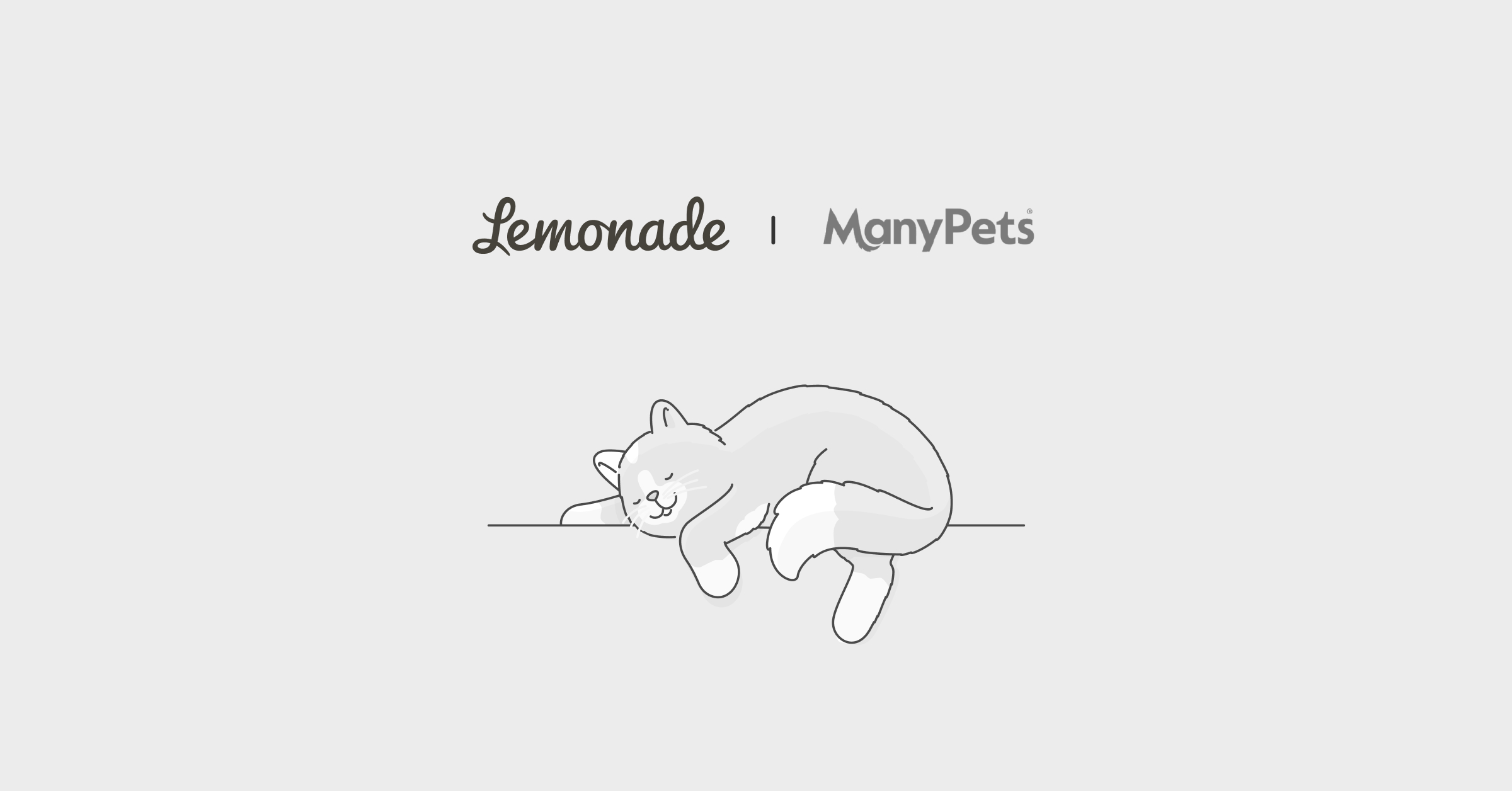 ManyPets pet insurance vs Lemonade comparison