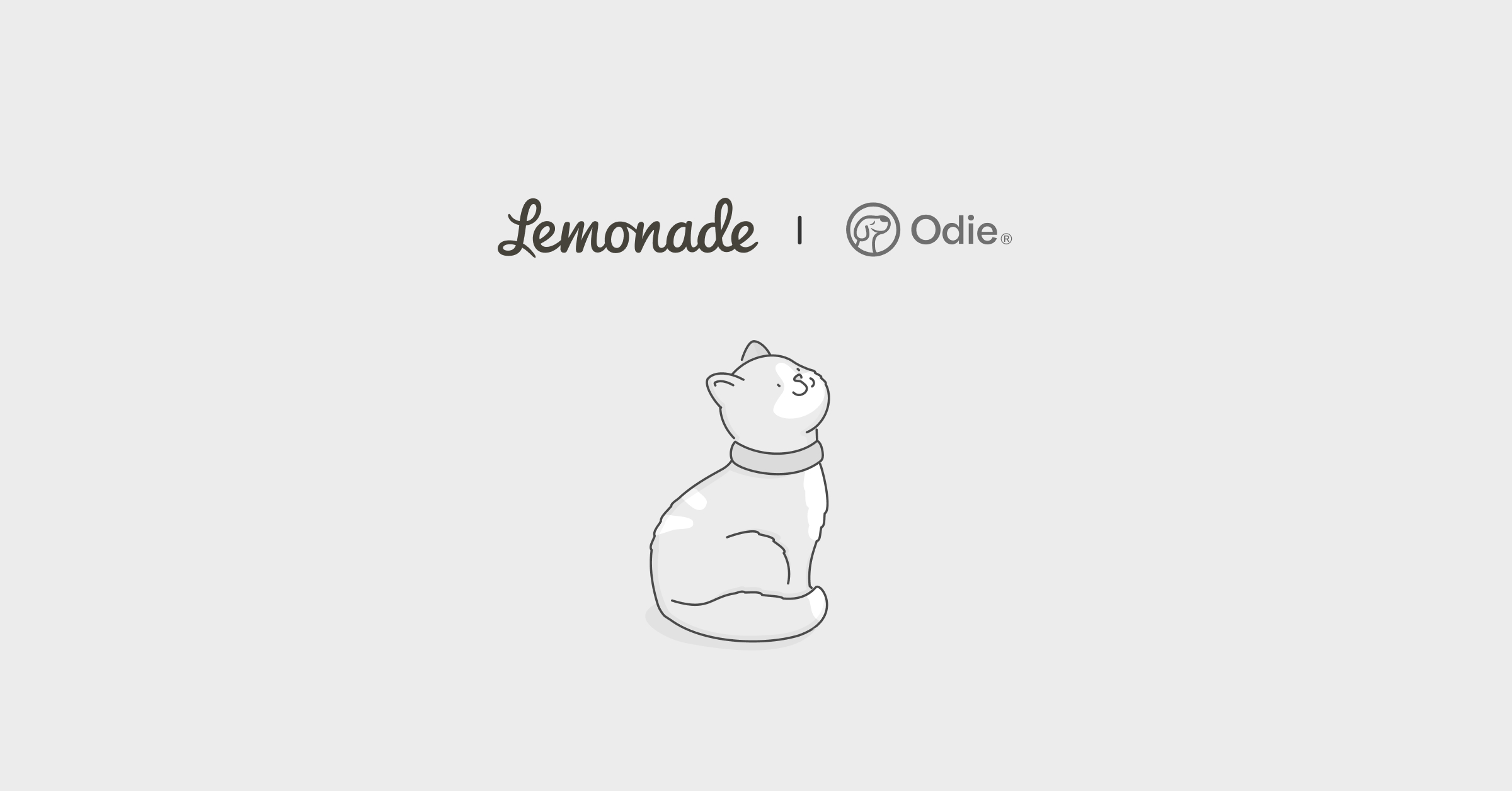 Odie pet insurance vs Lemonade comparison